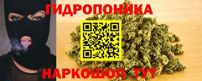 apvp Нягань