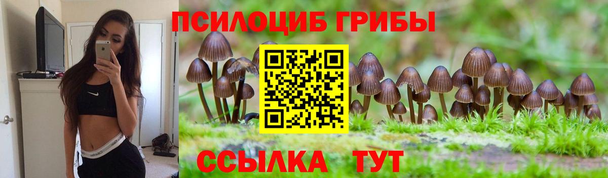 Псилоцибиновые грибы мухоморы Трёхгорный